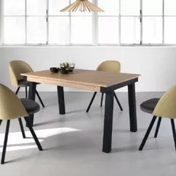 Diseño de mobiliario de la colección disponible